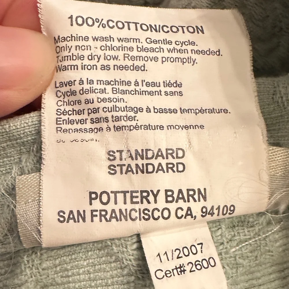 Pottery Barn raised floral damask heavy cotton standard pillow sham light blue